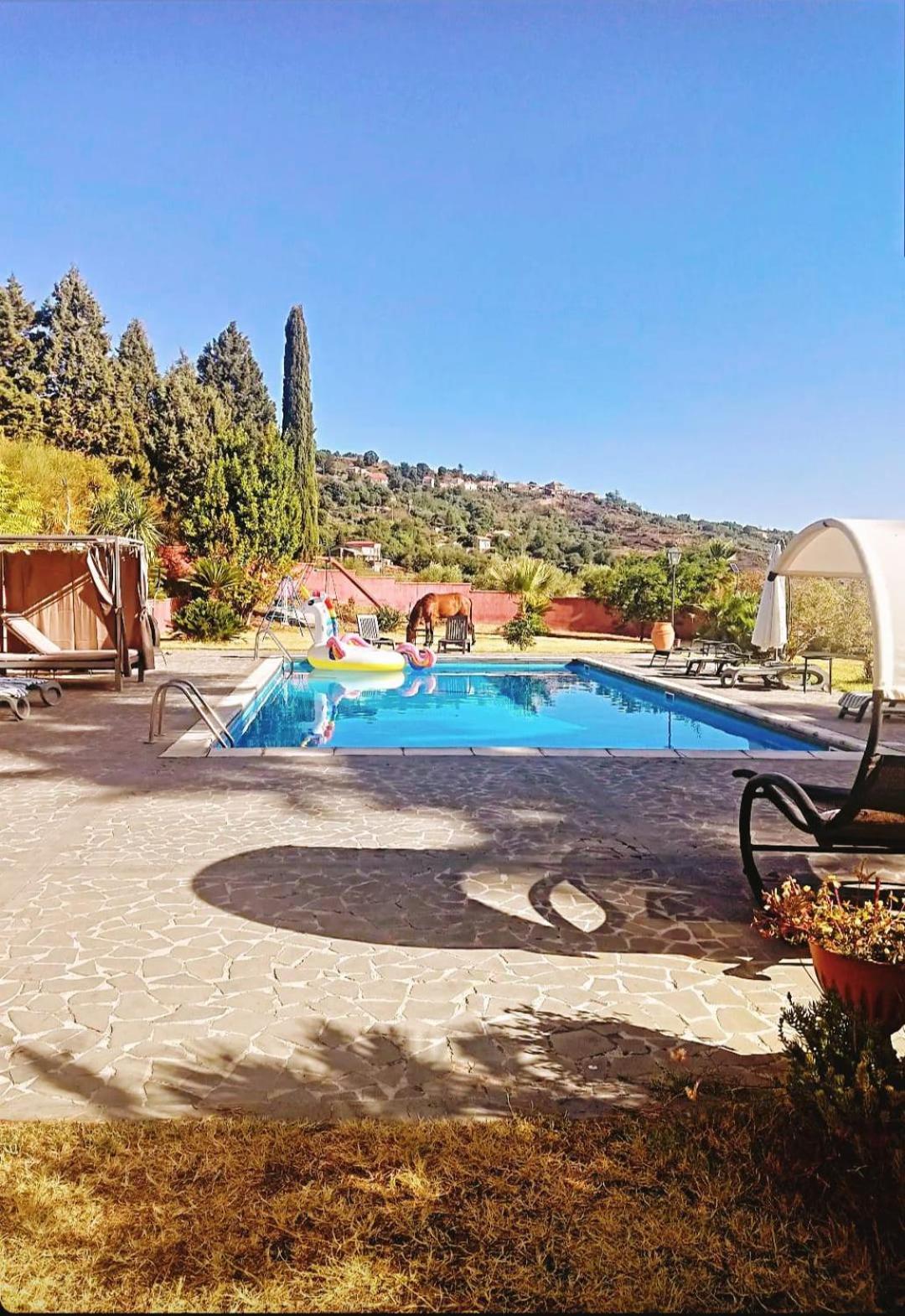 Villa Alessio - Case Vacanza Con Piscina Sull'Etna Puntalazzo Экстерьер фото